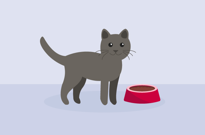 Mencegah Kucing Mencret Secara Alami: Panduan Lengkap