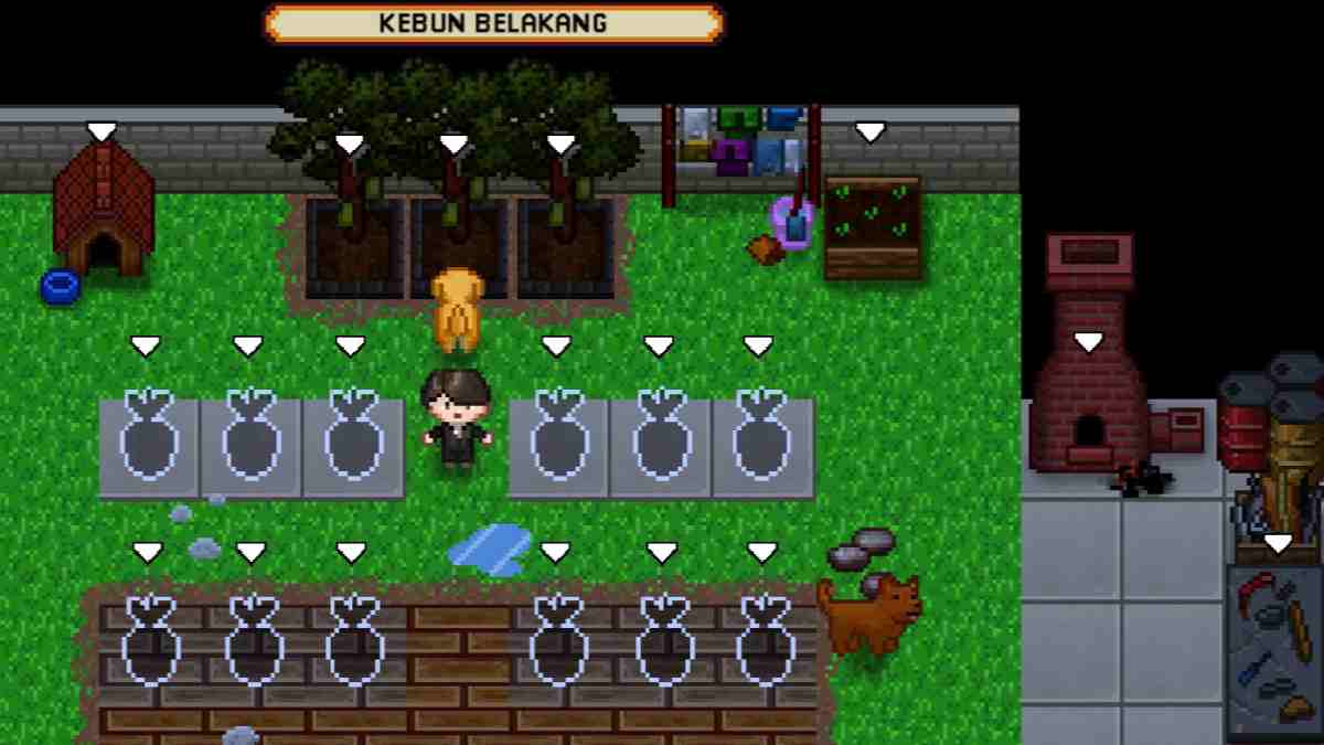 Panduan Lengkap: Makanan Anjing di Citampi Story dan Pengaruhnya pada Gameplay