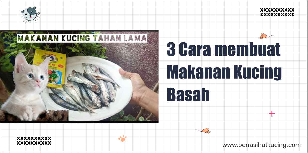 Membuat Makanan Kucing Basah dari Ikan Alami: Panduan Lengkap