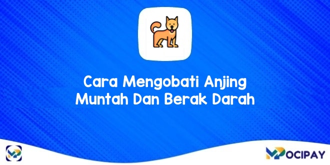 Mengatasi Anjing Berak Darah dan Muntah Secara Alami