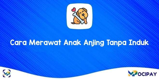 Merawat Anak Anjing Tanpa Induk: Panduan Lengkap