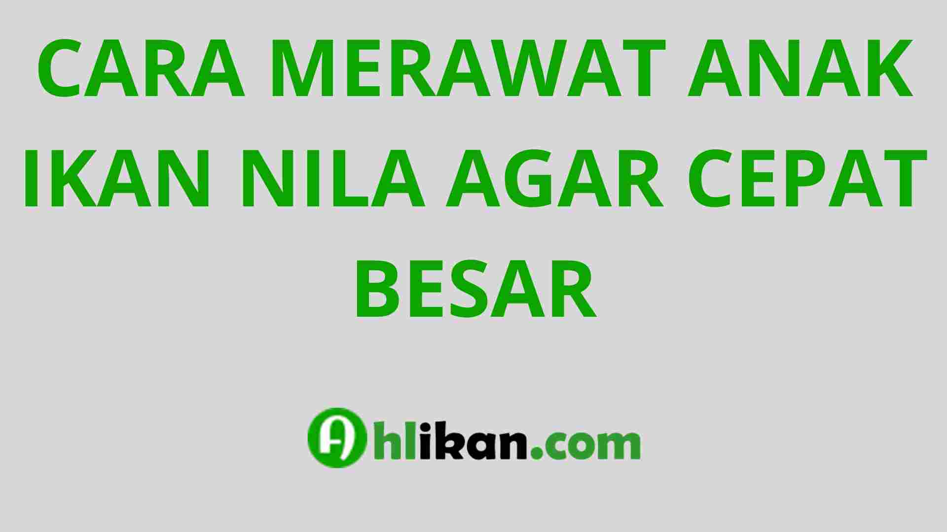 Panduan Lengkap: Cara Merawat Anak Anjing Agar Cepat Besar Secara Alami