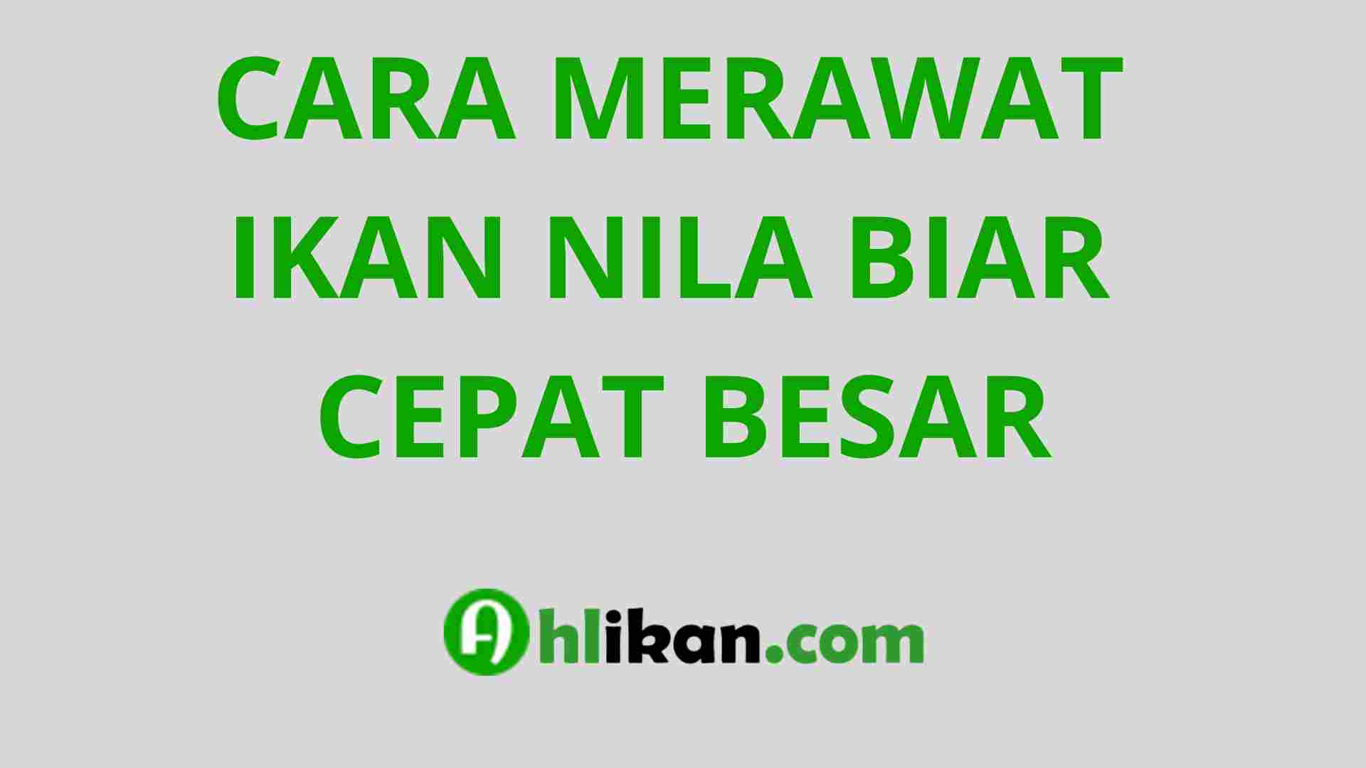 Tips Merawat Anjing Agar Tumbuh Besar Secara Optimal dan Alami