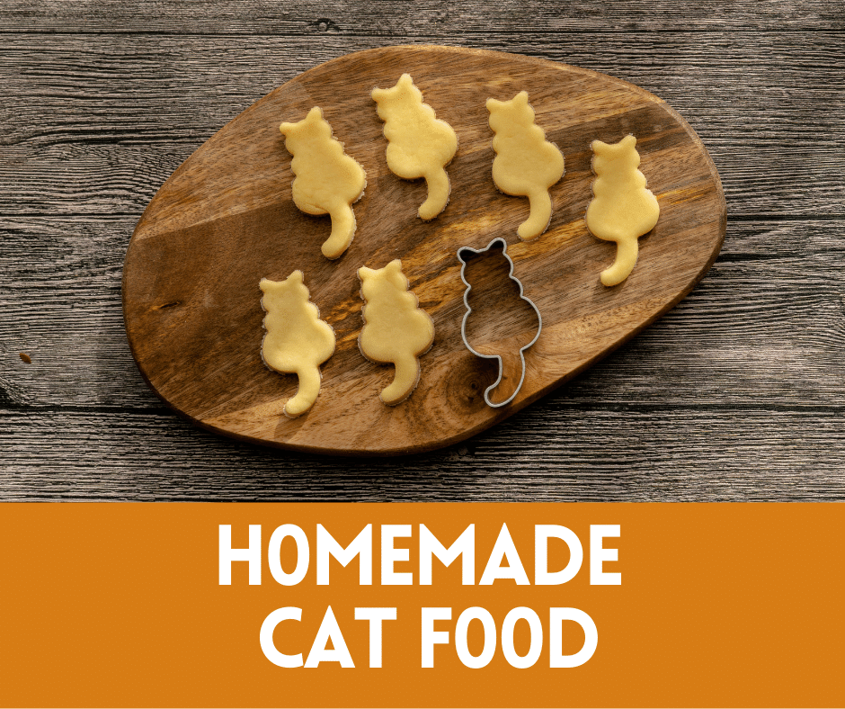 Makanan Kucing Buat Anak: Solusi Alami untuk Pertumbuhan Optimal