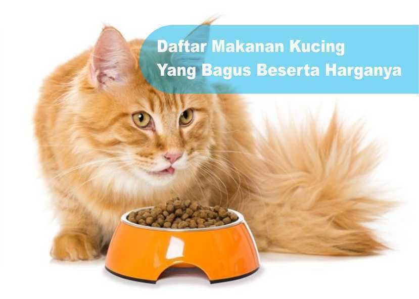 Makanan Kucing Cleo: Apakah Pilihan Bagus Secara Alami untuk Kesehatan Kucing Anda?