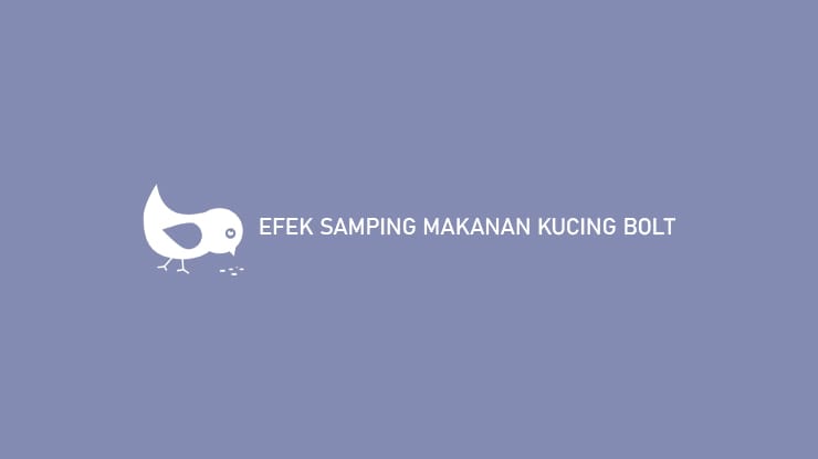 Mengenal Potensi Efek Samping Makanan Kucing Bolt