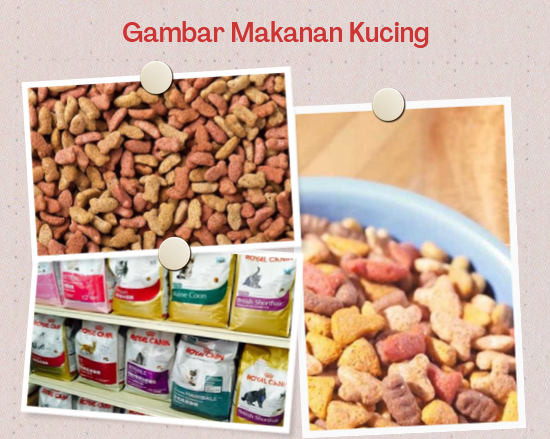 Harga Makanan Kucing di Indomaret 2022: Panduan Lengkap untuk Pemilik Kucing