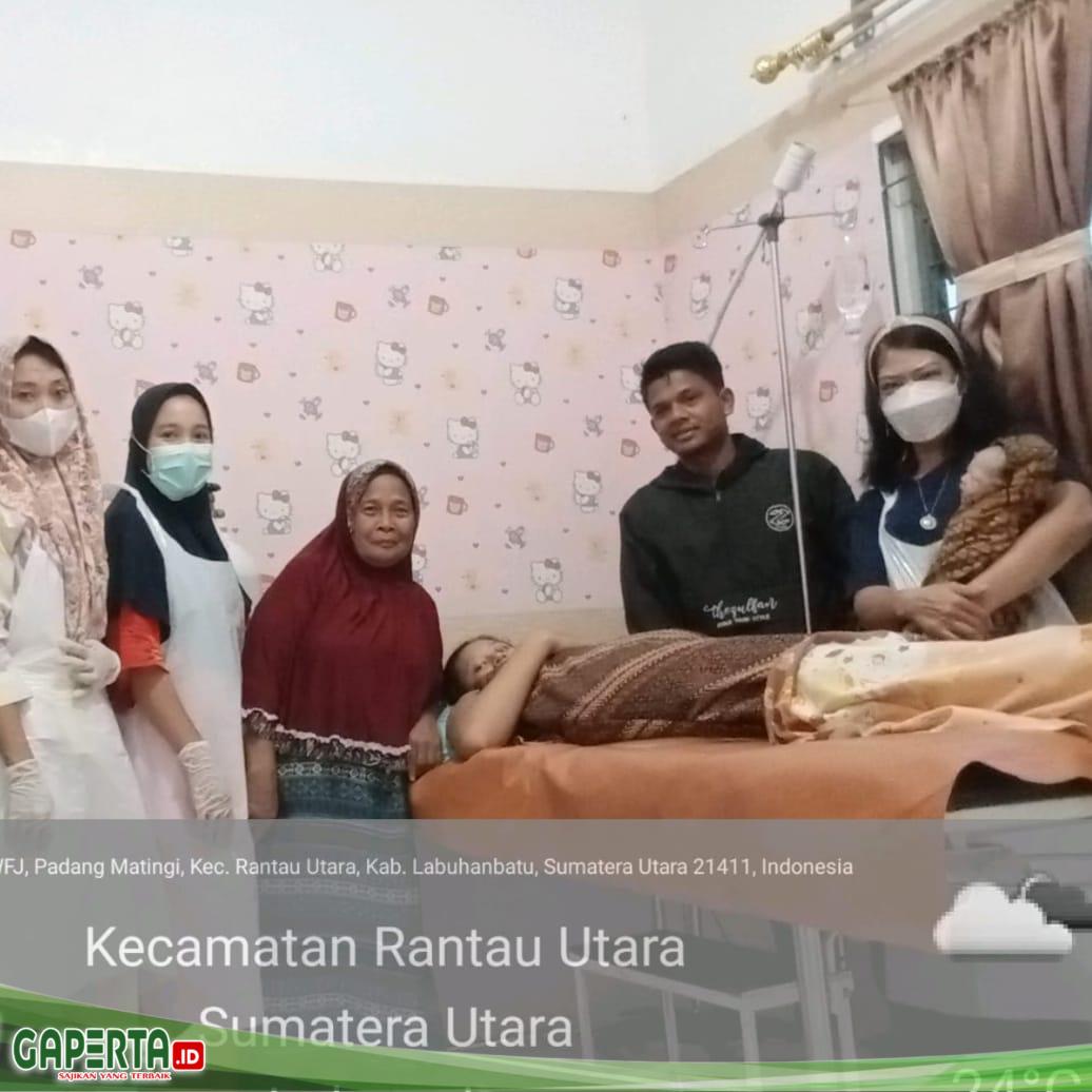 Merawat Bayi Anjing Baru Lahir Secara Alami