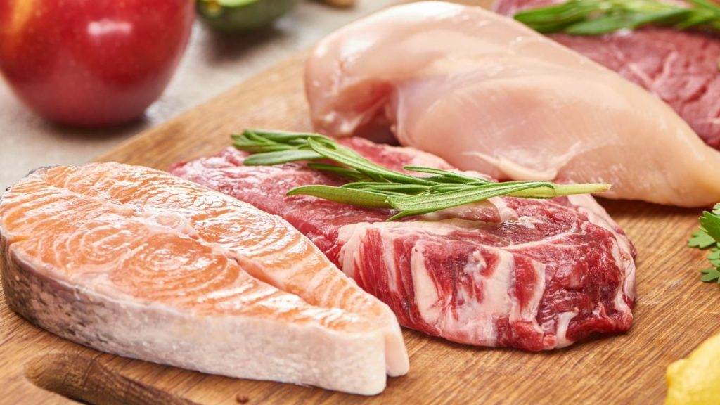 Panduan Lengkap Makanan Kucing Persia: Pilihan Alami untuk Kesehatan Optimal