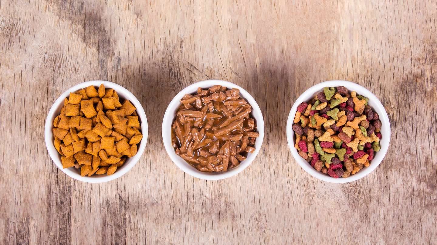 Memilih Makanan Kucing yang Tepat: Mengapa Ukuran Kibble Penting?