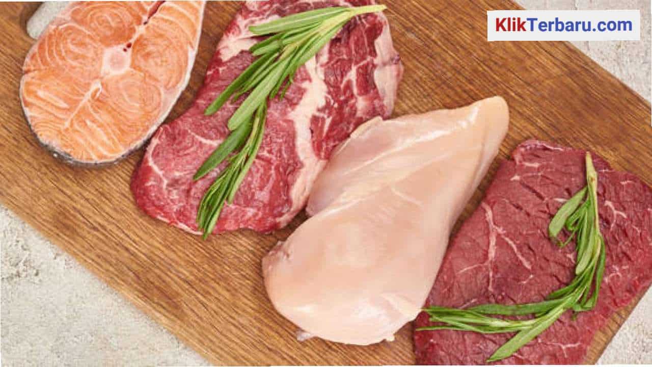 Makanan Alami untuk Anjing: Pilihan Terbaik untuk Kesehatan Optimal