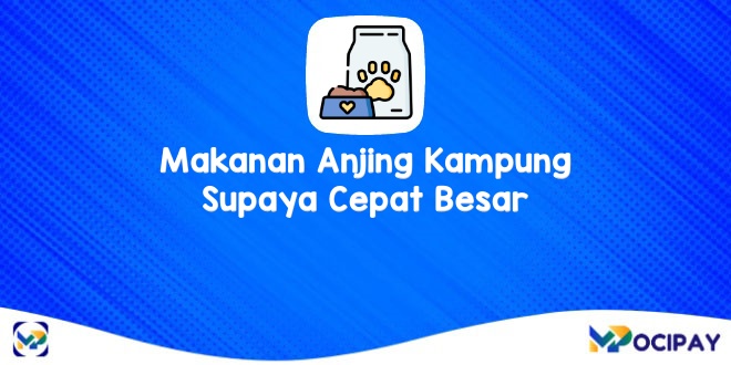 Makanan Anak Anjing: Kunci Pertumbuhan Optimal dan Alami
