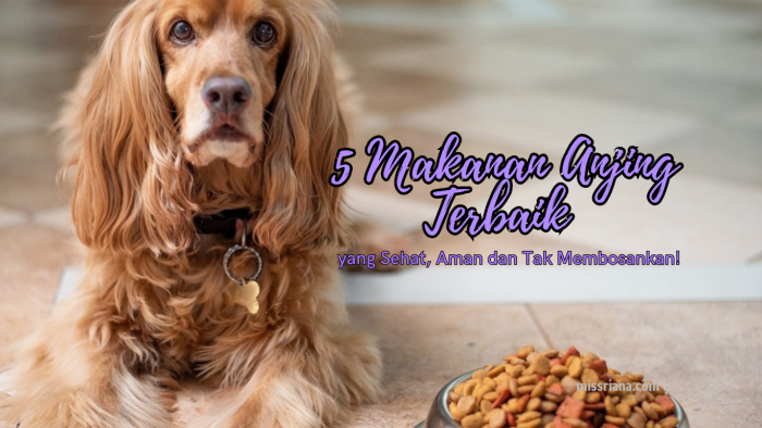 Memilih Brand Makanan Anjing Terbaik: Panduan Alami untuk Kesehatan Optimal