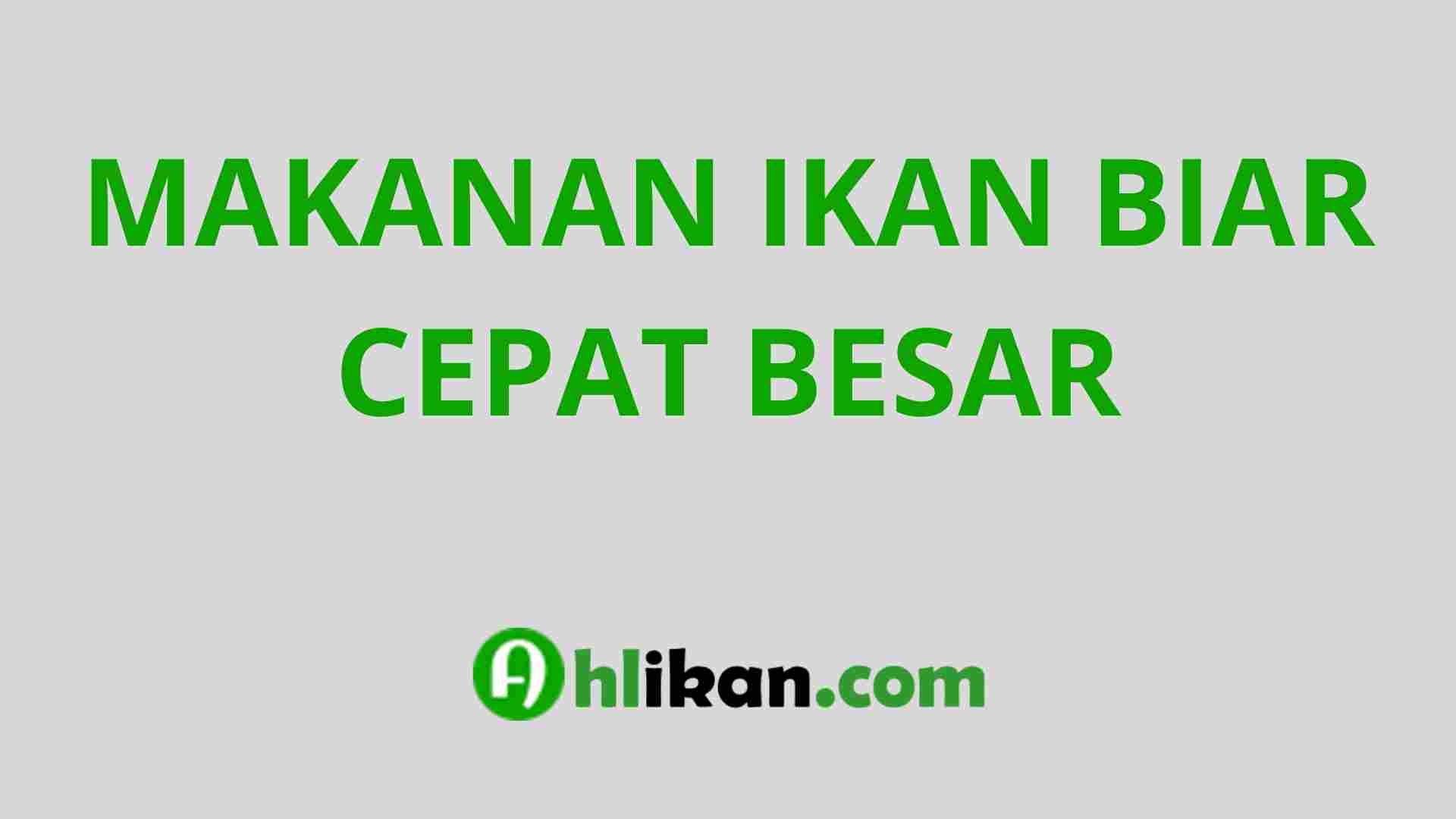 Makanan Anjing: Rahasia Pertumbuhan Optimal Secara Alami
