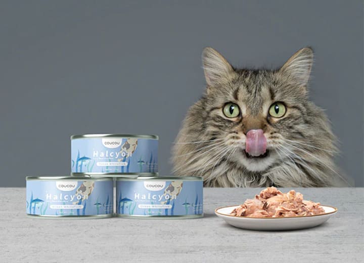 Memilih Makanan Kucing Lokal Terbaik: Alami dan Menyehatkan