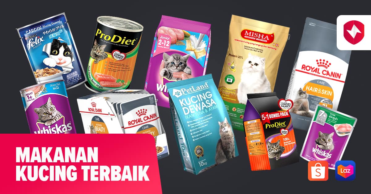 Rahasia Kecantikan Alami Kucing: Memilih Jenis Makanan yang Tepat
