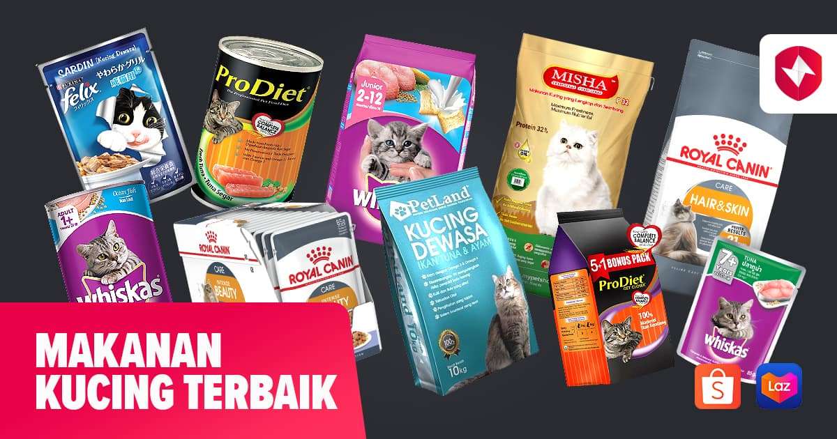 Memilih Makanan Kucing Terbaik 2024: Panduan Lengkap untuk Kesehatan Optimal