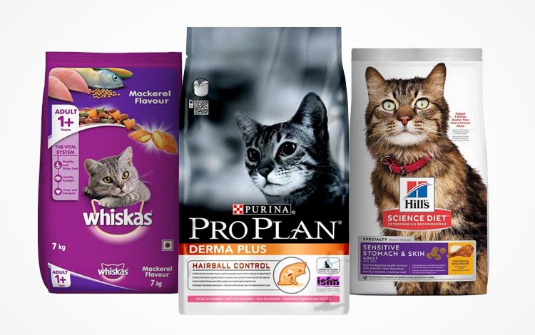 Mengatasi Diare pada Kucing dengan Bahan Alami
