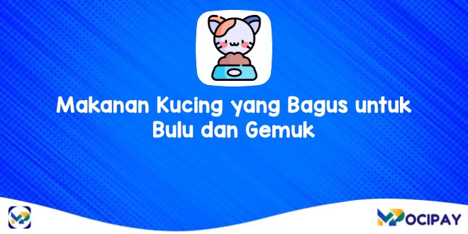 Memilih Makanan Kucing Kitten Terbaik: Bulu Sehat dan Gemuk Ideal Secara Alami