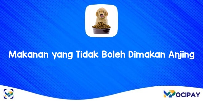 Makanan yang Harus Dihindari untuk Anjing Shih Tzu Kesayangan Anda