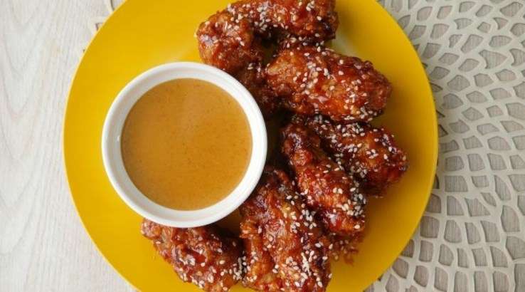 Makanan Kucing dari Daging Ayam: Pilihan Nutrisi Optimal untuk Kucing Anda