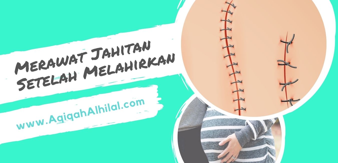 Merawat Anjing Kesayangan Pasca Persalinan Alami