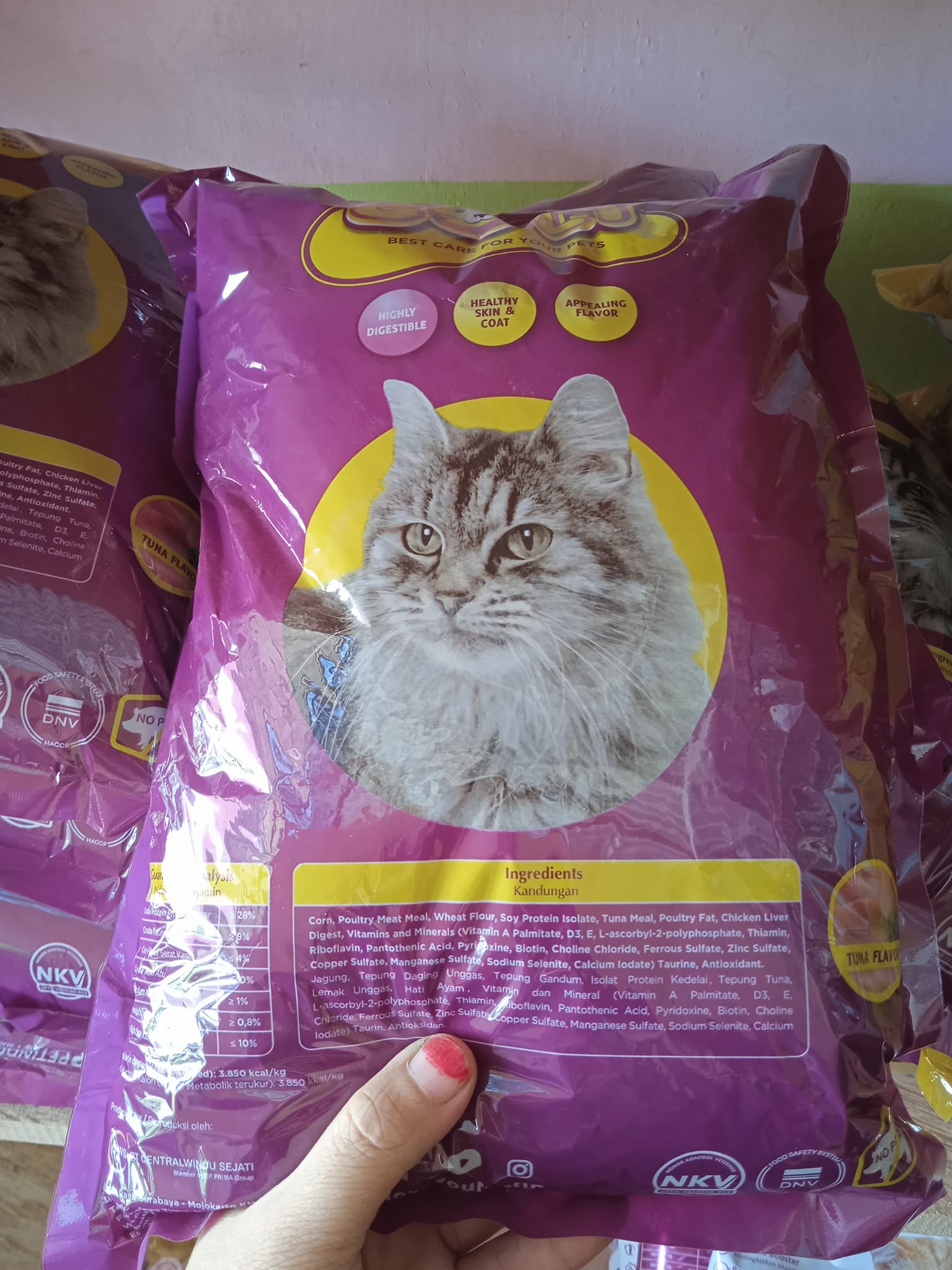 Memilih Makanan Anak Kucing yang Bagus dan Alami untuk Pertumbuhan Optimal