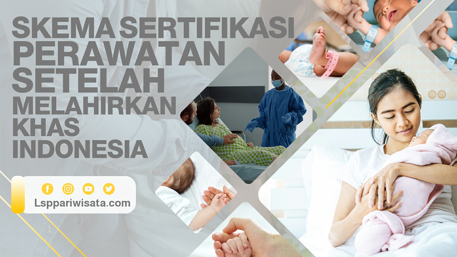 Perawatan Anjing Pasca Melahirkan: Panduan Komprehensif