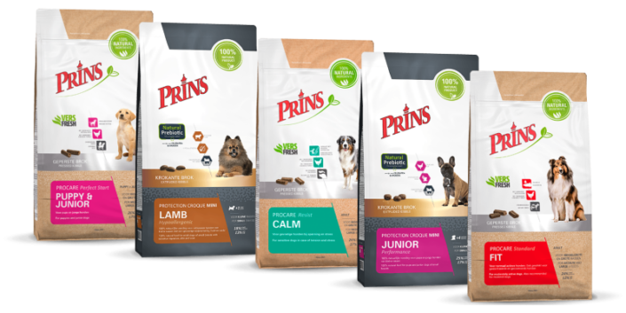 Memahami Nutrisi Terbaik untuk Anjing dan Kucing Kesayangan Anda