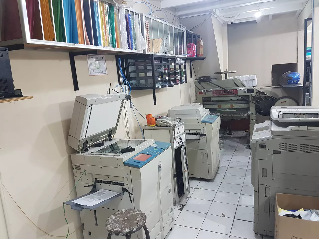 Mencari Toko Makanan Kucing Terdekat: Panduan Lengkap