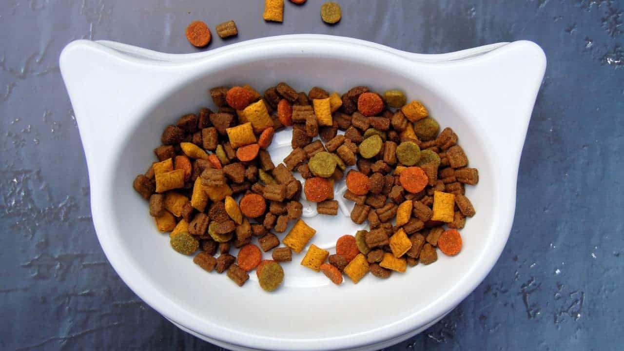 Memilih Makanan Kucing Whiskas Kering Murah yang Berkualitas untuk Kesehatan Optimal