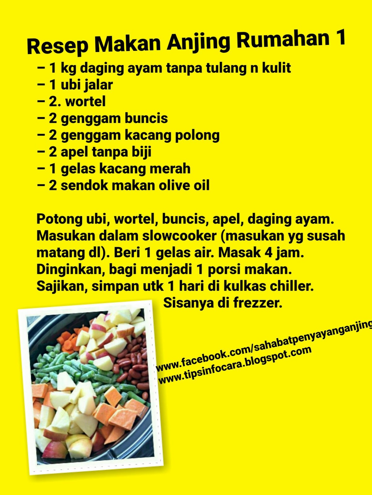 Resep Makanan Anjing Buatan Sendiri: Sehat Alami untuk Sahabat Terbaik