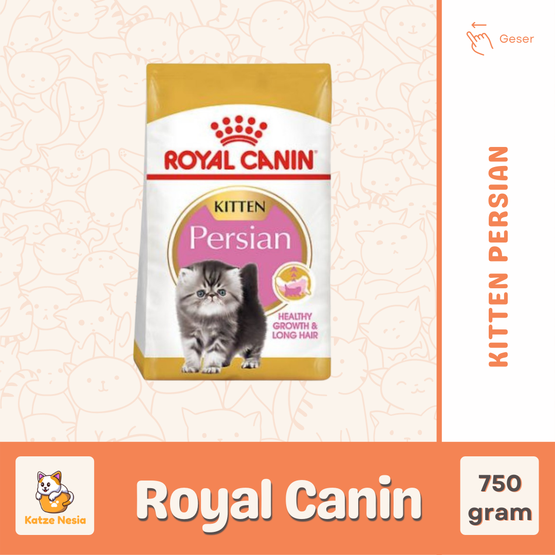 Royal Canin Kitten: Nutrisi Optimal untuk Tumbuh Kembang Anak Kucing Anda