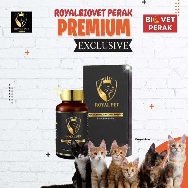 Makanan Kucing: Rahasia Gemuk, Bulu Lebat Alami