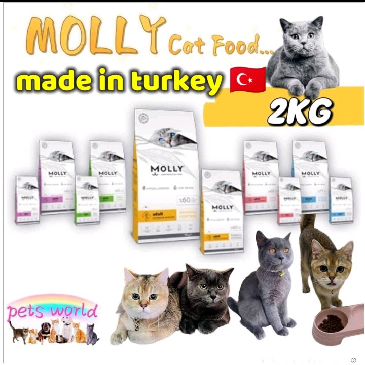 Mengenal Lebih Dekat Makanan Kucing Jenama Molly: Nutrisi Terbaik untuk Sahabat Bulu Anda