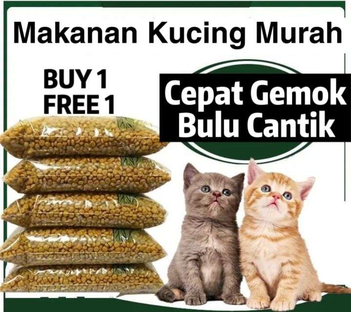 Memilih Makanan Kucing Dry Food Murah yang Bernutrisi Alami