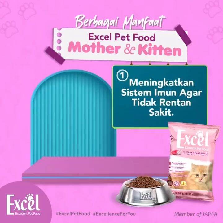 Nutrisi Alami untuk Kucing Induk dan Anak: Fondasi Kesehatan Optimal
