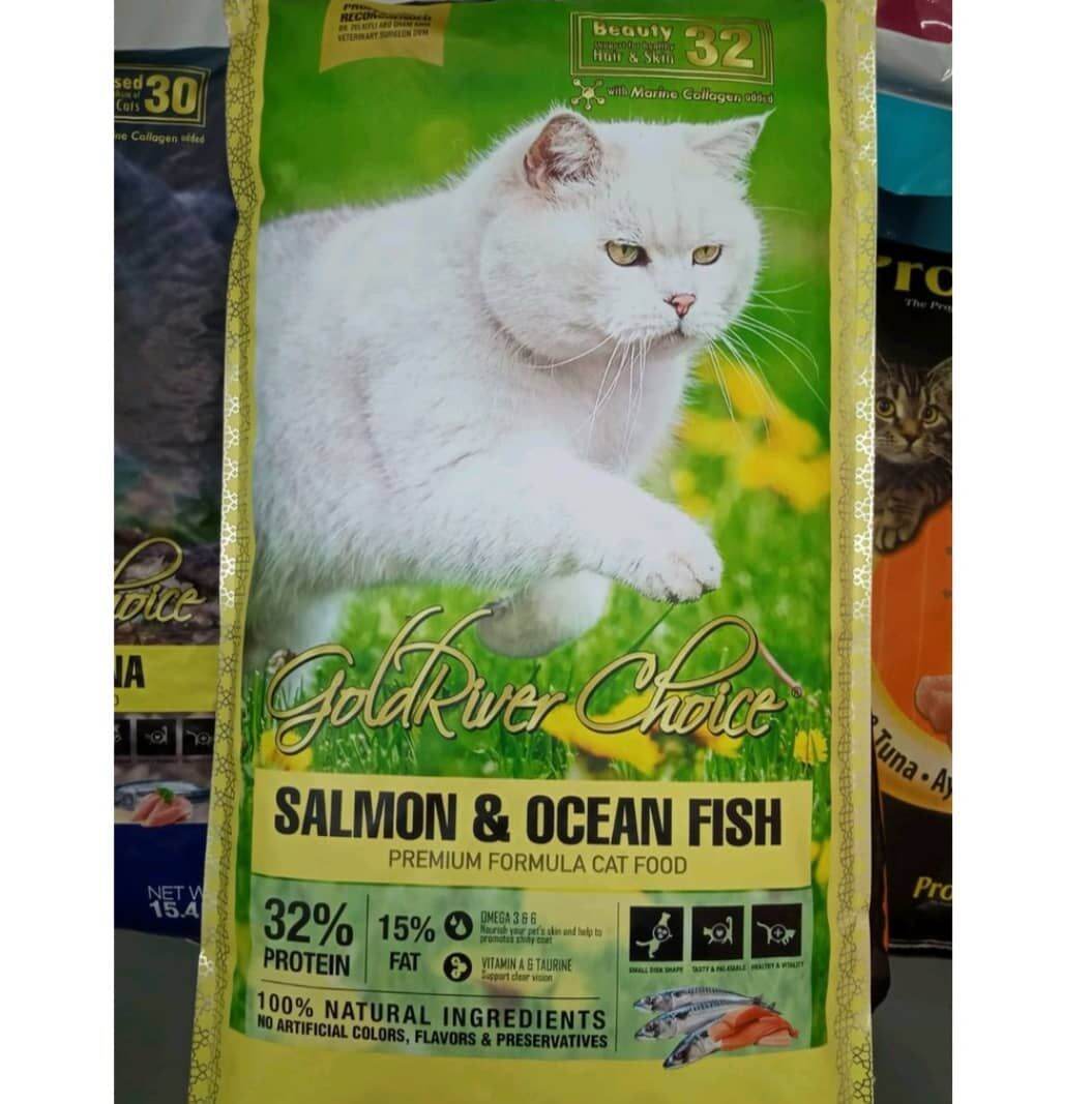 Makanan Kucing Golden: Kesehatan Optimal dengan Nutrisi Alami