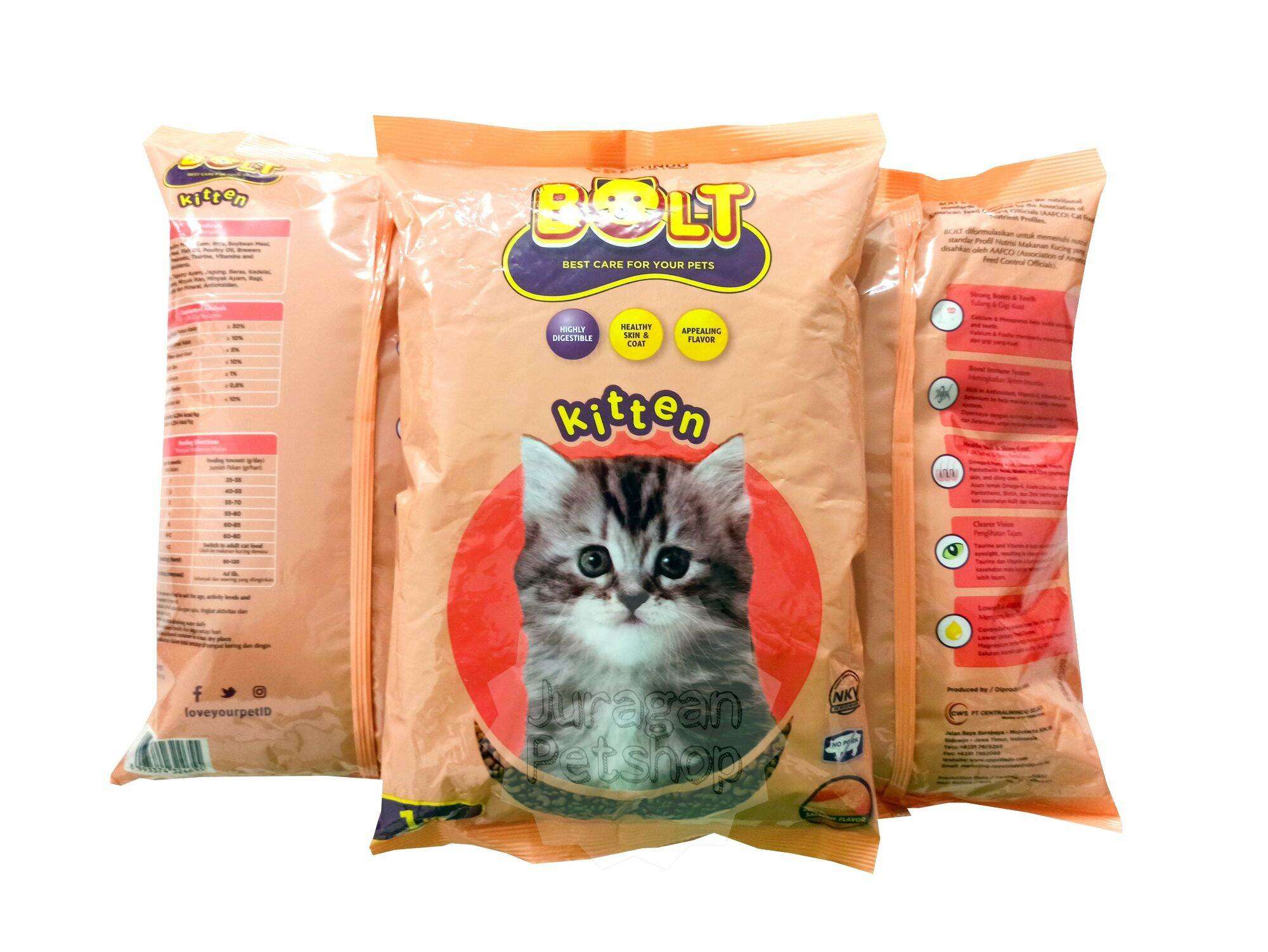 Makanan Kucing Kitten: Panduan Lengkap Pemberian Pakan Sesuai Usia