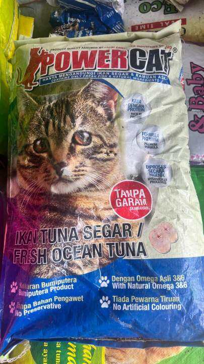 Mengenal Lebih Dekat Makanan Kucing Power Cat: Nutrisi Lengkap untuk Kucing Kesayangan