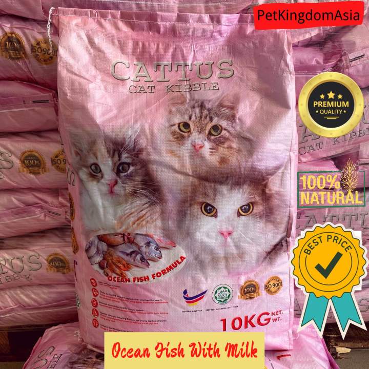 Makanan Kucing Ocean Fish: Nutrisi Lengkap dari Laut