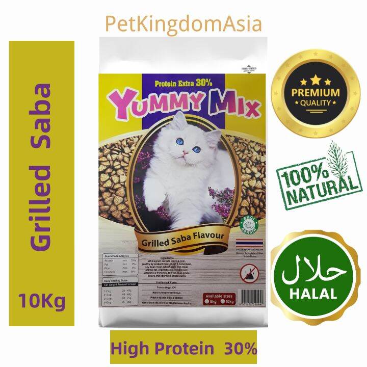 Makanan Kucing Yummy: Panduan Lengkap untuk Pemilik Kucing
