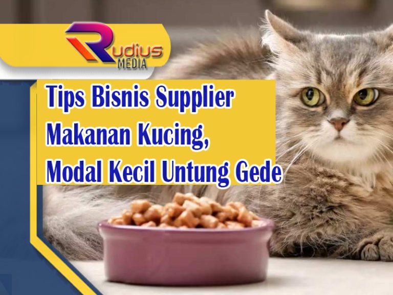 Panduan Lengkap Memilih Makanan Kucing Waktu Kecil Alami Terbaik