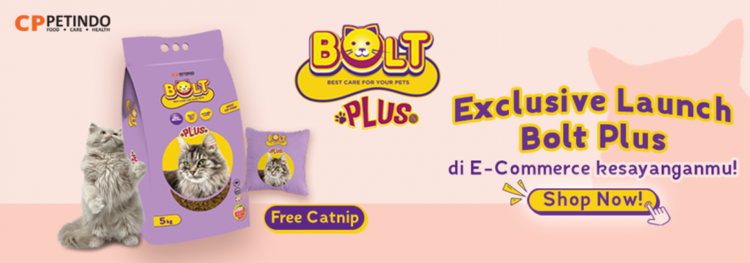 Memahami Kandungan Makanan Kucing Cleo untuk Kesehatan Optimal