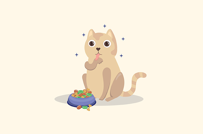 Mengenal Bahaya Tersembunyi dalam Makanan Kering Kucing