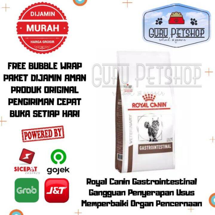 Memahami Makanan Kucing Gastrointestinal: Lebih dari Sekadar Royal Canin