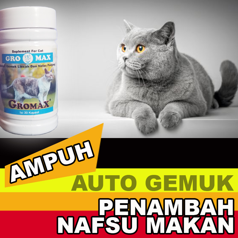 Rekomendasi Makanan Kucing Cepat Gemuk Secara Alami