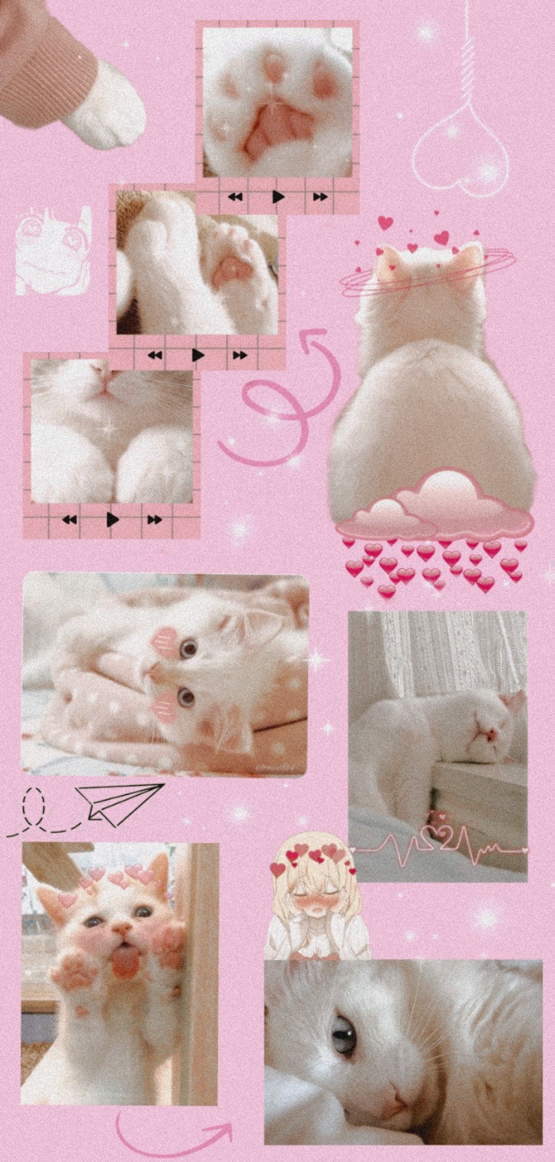Makanan Anak Kucing Warna Pink Alami: Panduan Lengkap