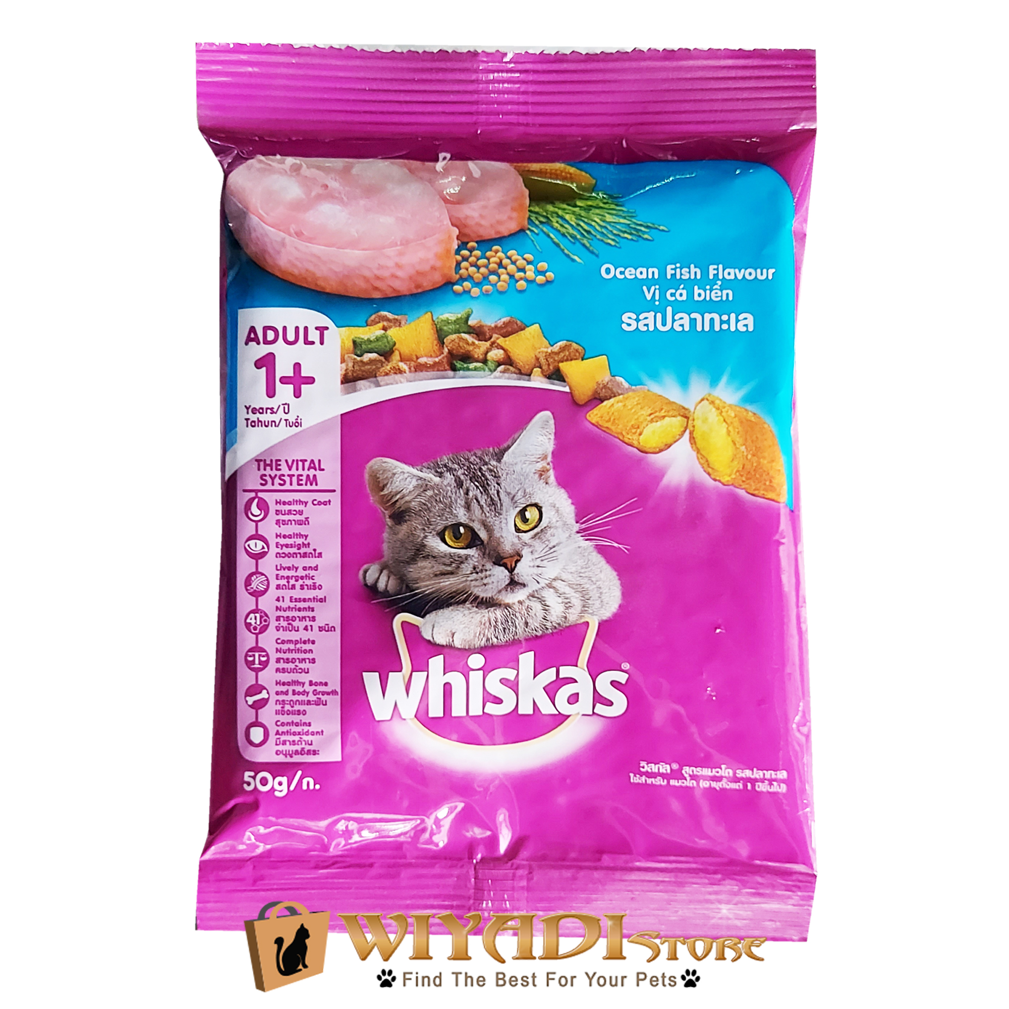 Memilih Makanan Kucing yang Bagus dan Enak: Panduan Lengkap untuk Pemilik Kucing