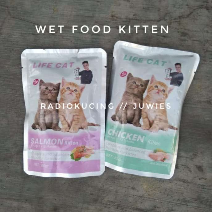 Memahami Harga dan Manfaat Makanan Kucing Cleo Kitten